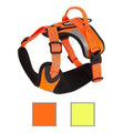 Hi-Viz Active Harness