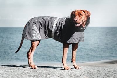 Extreme Warmer Dog Jacket