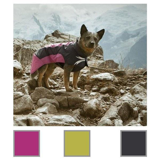 Ultimate Warmer Dog Jacket