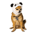 Panda Hat