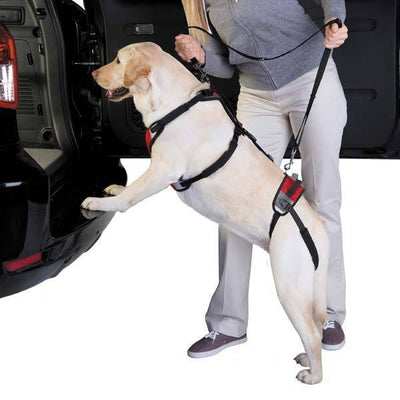 Lift & Go Lead Harness