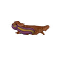 Hand-Painted Dachshund Pin