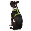 Nylon Dog Harness