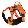 Hi-Viz Active Harness
