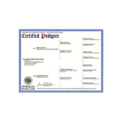 AKC Certified Pedigrees