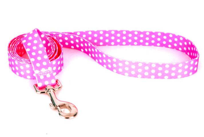 Pink Polka Dot  Lead