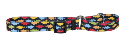 Rainbow Fish Martingale Collar