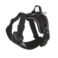 Active Harness