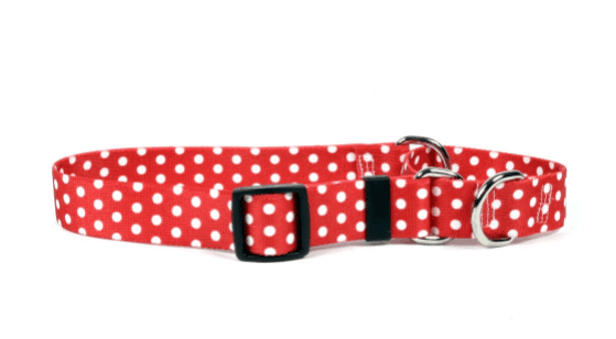 Red Polka Dot Martingale Collar