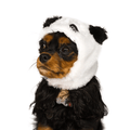 Panda Hat
