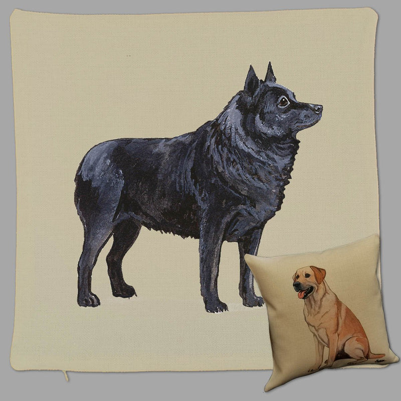 Schipperke Pillow Cover