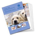^ (5 per Pack) Puppy Information Folder