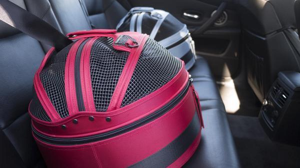 3-in-1 Dog Bed, Carrier and Car Seat