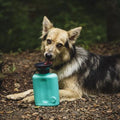 Highwave Growler Auto Dog Mug