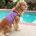 Cooling Vest