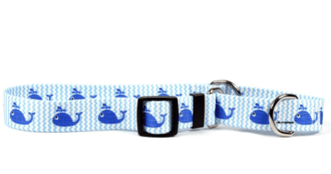 Sweet Lil' Whales Martingale Collar