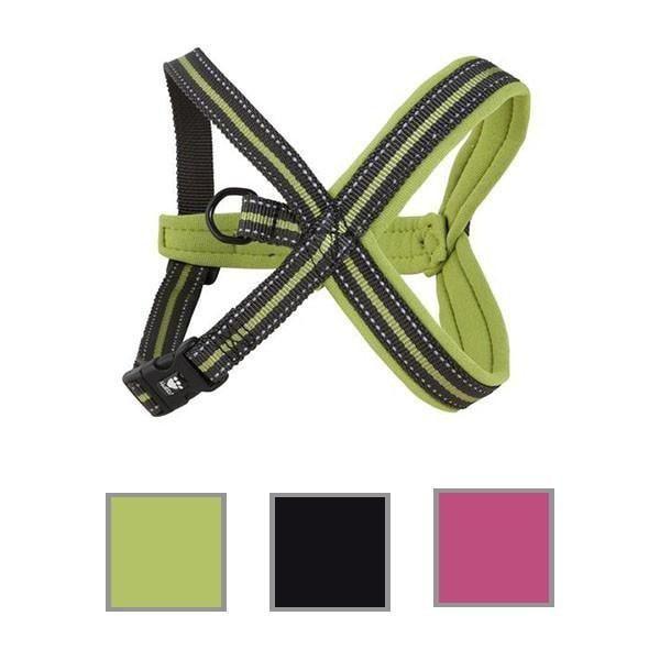 Padded Y-Harness