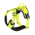 Hi-Viz Active Harness