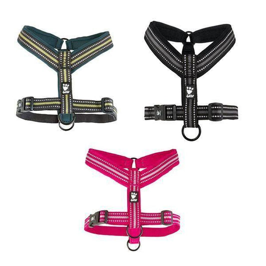 Padded Dog Y-Harness 2