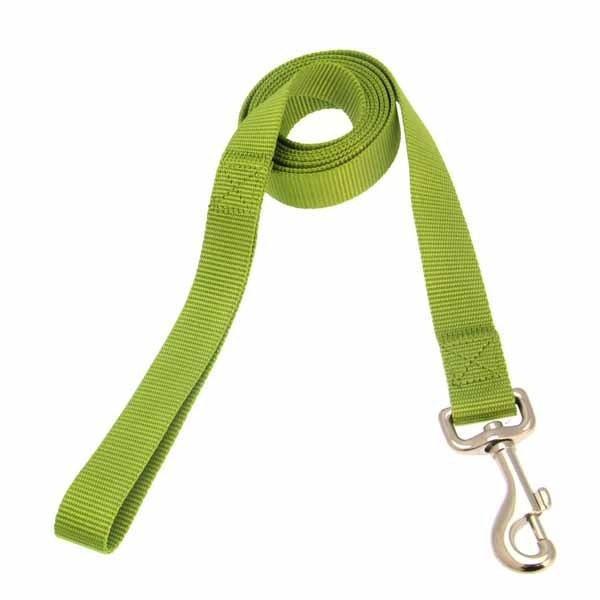 Colorful Nylon Dog Leash