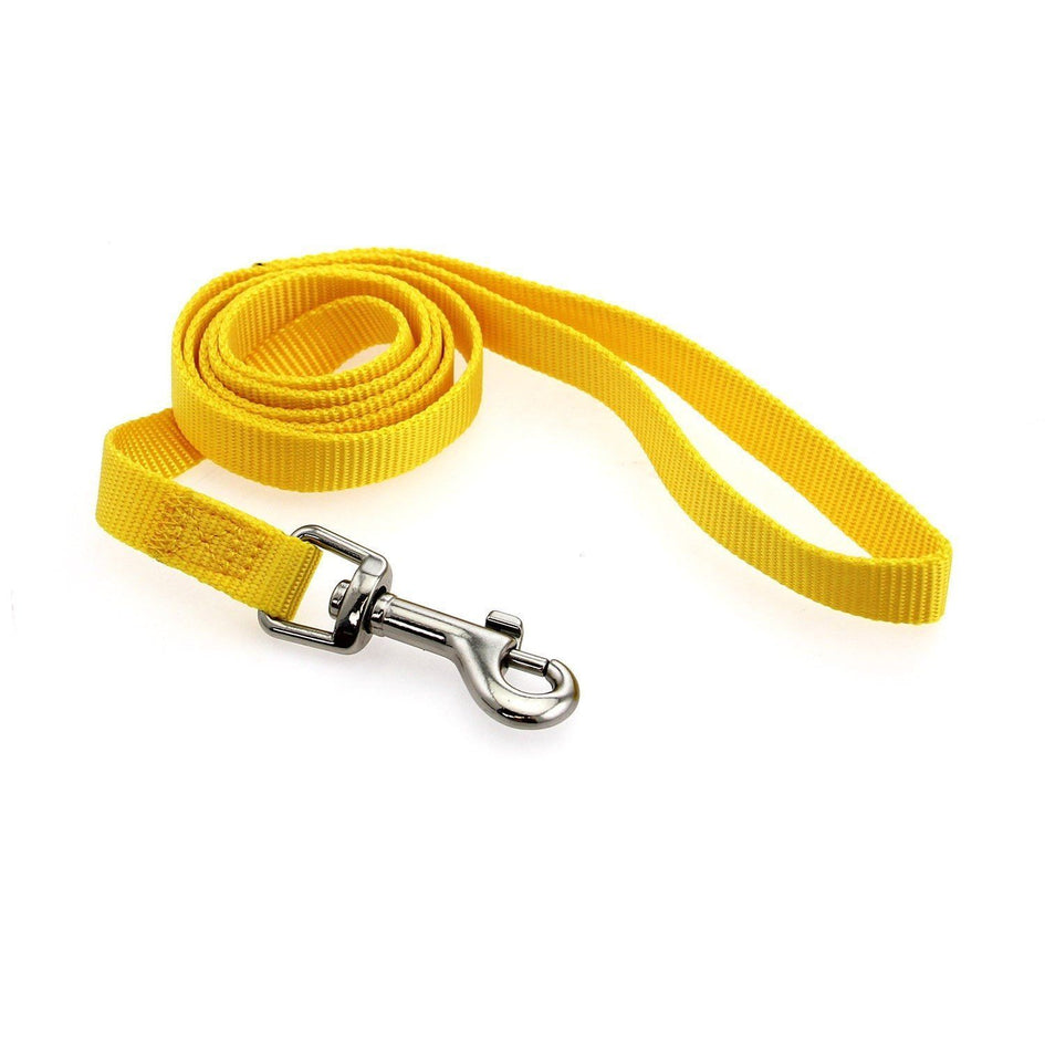 Colorful Nylon Dog Leash